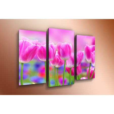 Модульная картина "Розовые тюльпаны" 60х80 ТР47