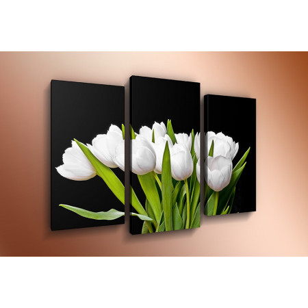 Модульная картина "Букет из белых тюльпанов на черном фоне" 60х80 ТР467