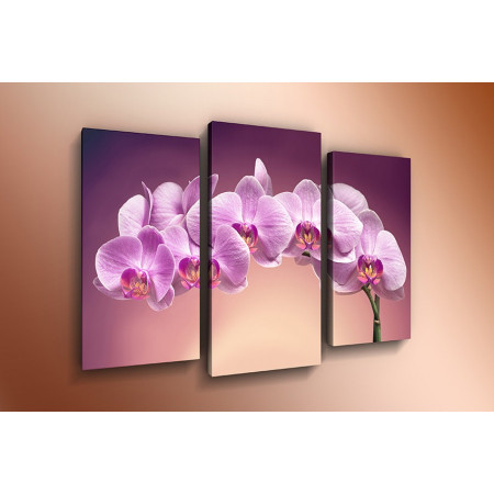 Модульная картина "Веточка орхидеи" 60х80 ТР465