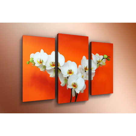 Модульная картина "Веточки орхидеи на оранжевом" 60х80 ТР459