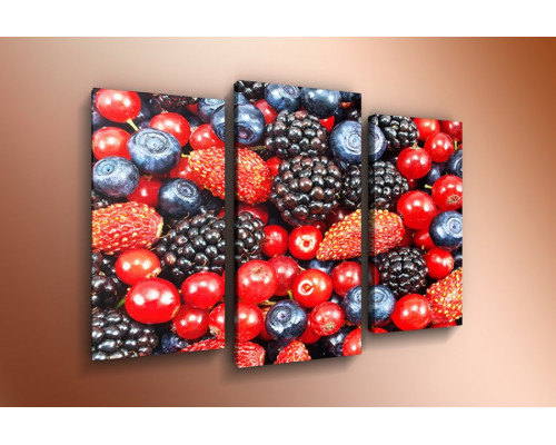 Модульная картина "Ароматные ягоды" 60х80 ТР401
