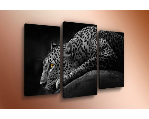 Модульная картина "Белый леопард" 60х80 ТР1527