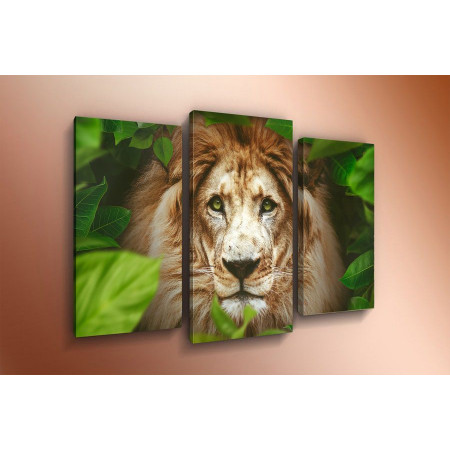 Модульная картина "Лев в джунглях" 60х80 ТР1185