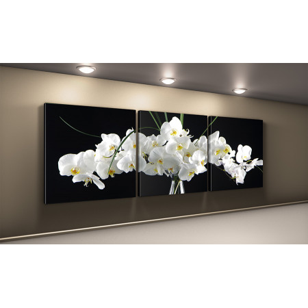 Модульная картина "Белые орхидеи в вазе" 50х150 КВ54