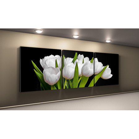 Модульная картина "Букет из белых тюльпанов на черном фоне" 50х150 КВ48