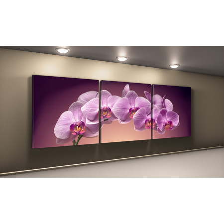 Модульная картина "Веточка орхидеи" 50х150 КВ40