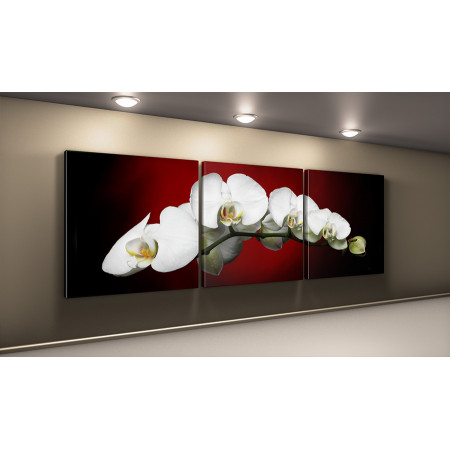 Модульная картина "Белые орхидеи на красно-черном фоне" 50х150 КВ38