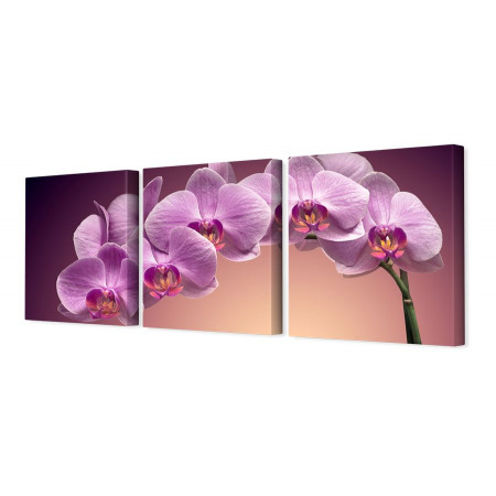 Модульная картина "Веточка орхидеи" 35х110 N73