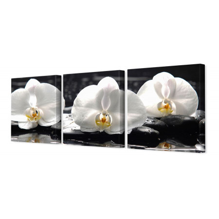 Модульная картина "Белые орхидеи на черных камнях" 35х110 N46
