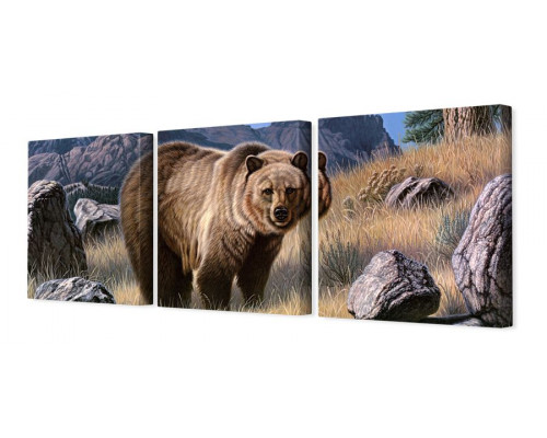Модульная картина "Медведь в горах" 35х110 N24