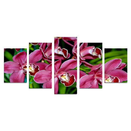 Модульная картина "Бордовые орхидеи" 110х50 К991