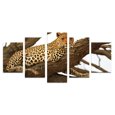 Модульная картина "Леопард на дереве" 110х50 К950