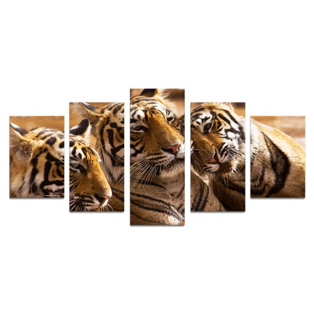 Модульная картина "Тигры в воде" 110х50 К912