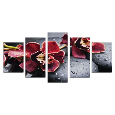 Модульная картина "Бордовые цветки орхидеи на камнях" 110х50 К849