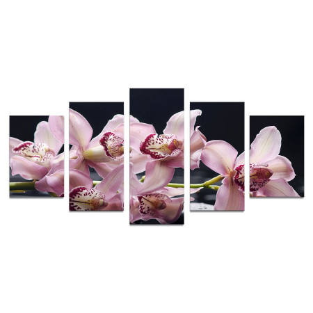Модульная картина "Ветка сиреневой орхидеи" 110х50 К847