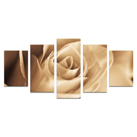 Модульная картина "Бежевая роза" 110х50 К837