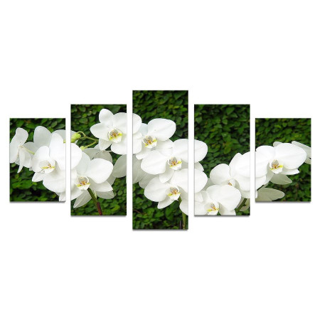 Модульная картина "Веточки белых орхидей" 110х50 К771