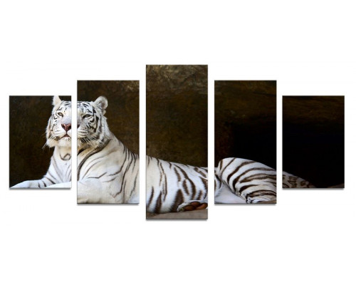 Модульная картина "Белый тигр" 110х50 К741