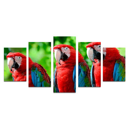 Модульная картина "Три попугая" 110х50 К619