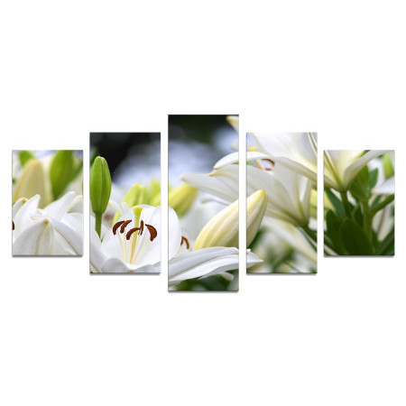 Модульная картина "Белые лилии" 110х50 К584