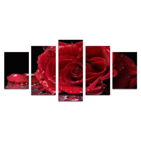 Модульная картина "Алая роза" 110х50 К570
