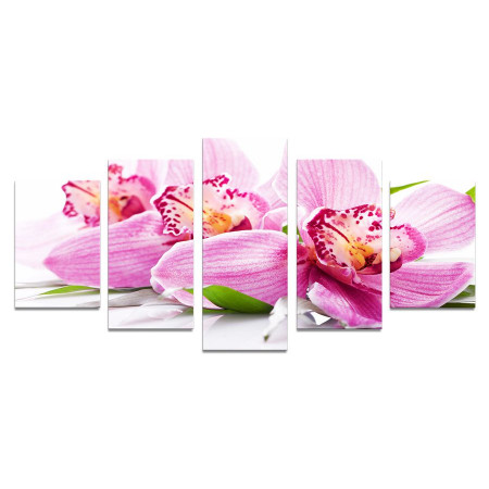Модульная картина "Нежные цветки орхидеи" 110х50 К544