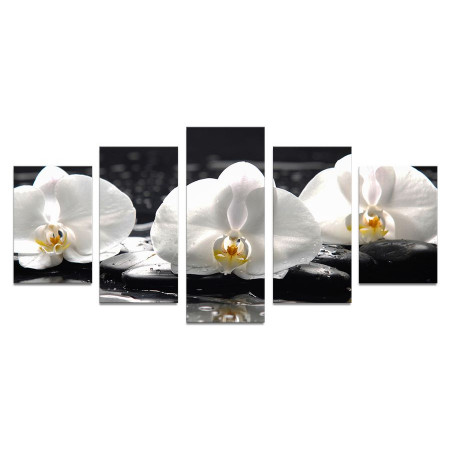 Модульная картина "Белые орхидеи на черных камнях" 110х50 К502