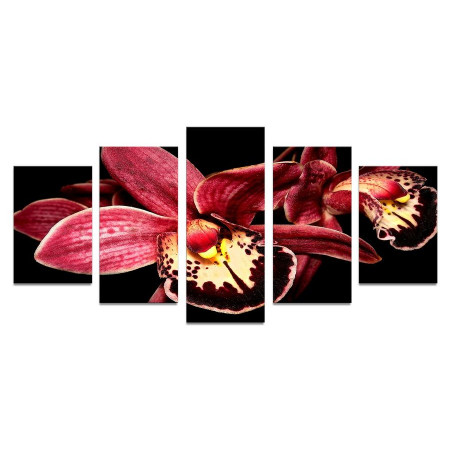 Модульная картина "Бордовая орхидея" 110х50 К257