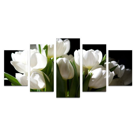 Модульная картина "Белые тюльпаны на черном" 110х50 К253
