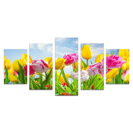 Модульная картина "Разноцветные тюльпаны на фоне голубого неба" 110х50 К1066