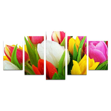 Модульная картина "Тюльпаны в каплях росы" 110х50 К1065