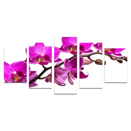 Модульная картина "Ветка орхидеи" 110х50 К1016