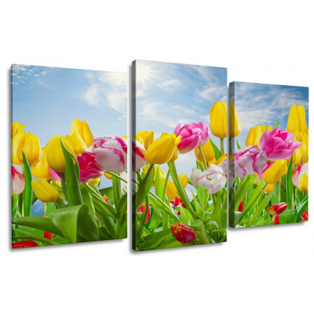 Модульная картина "Разноцветные тюльпаны на фоне голубого неба" 100х60 S870