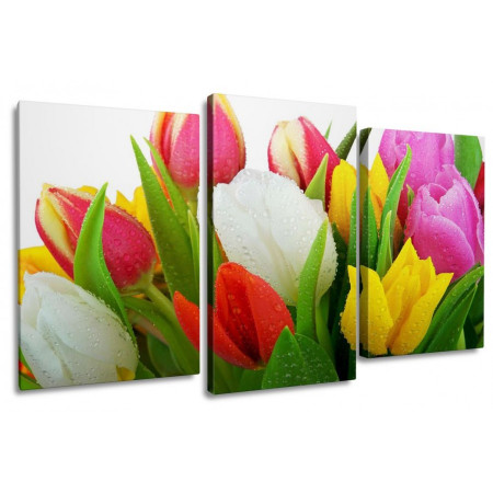 Модульная картина "Тюльпаны в каплях росы" 100х60 S869