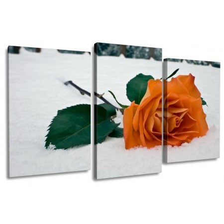 Модульная картина "Роза на снегу" 100х60 S856