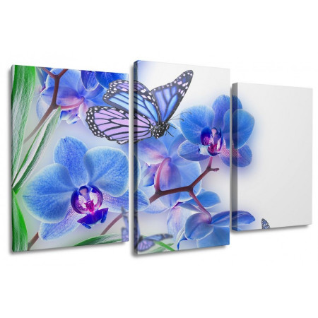 Модульная картина "Бабочки и орхидея" 100х60 S846