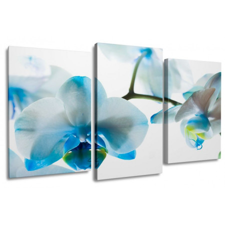 Модульная картина "Голубая орхидея" 100х60 S820