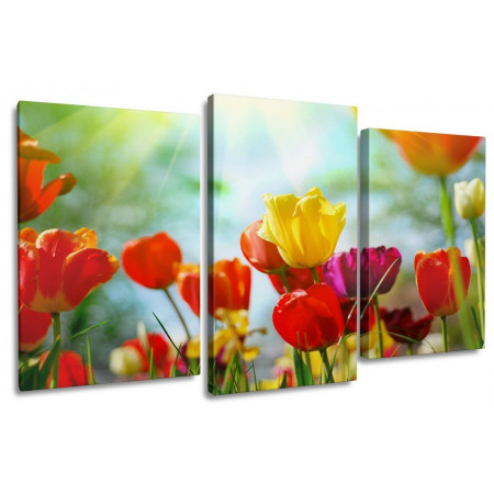 Модульная картина "Разноцветные тюльпаны на солнце" 100х60 S800