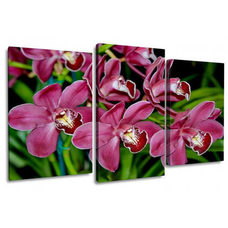 Модульная картина "Бордовые орхидеи" 100х60 S794