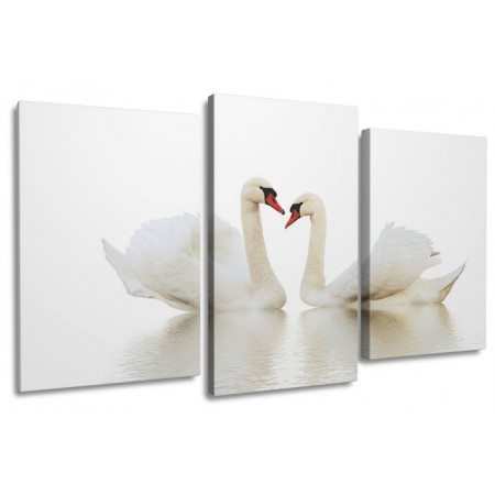 Модульная картина "Белые лебеди на белом" 100х60 S717