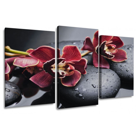 Модульная картина "Бордовые цветки орхидеи на камнях" 100х60 S651