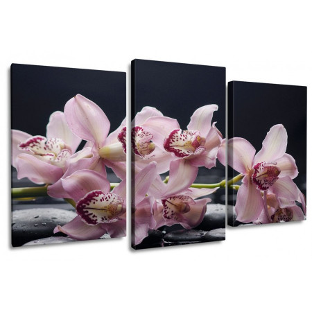 Модульная картина "Ветка сиреневой орхидеи" 100х60 S649