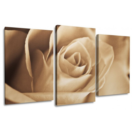 Модульная картина "Бежевая роза" 100х60 S639