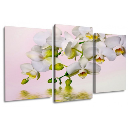 Модульная картина "Орхидеи над водой" 100х60 S568