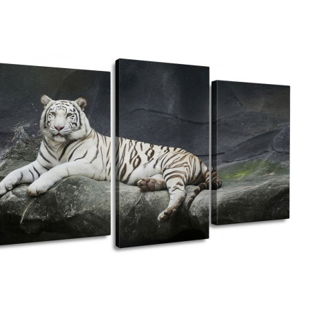 Модульная картина "Величественный белый тигр" 100х60 S546