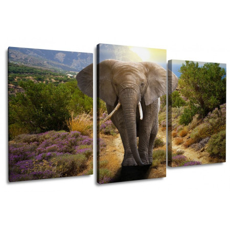 Модульная картина "Слон в горах" 100х60 S544