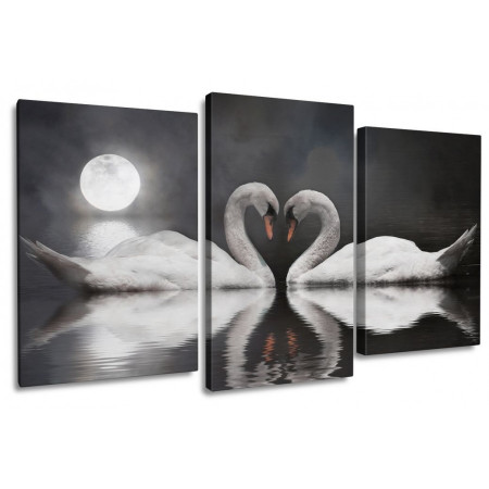 Модульная картина "Лебеди в ночи" 100х60 S535