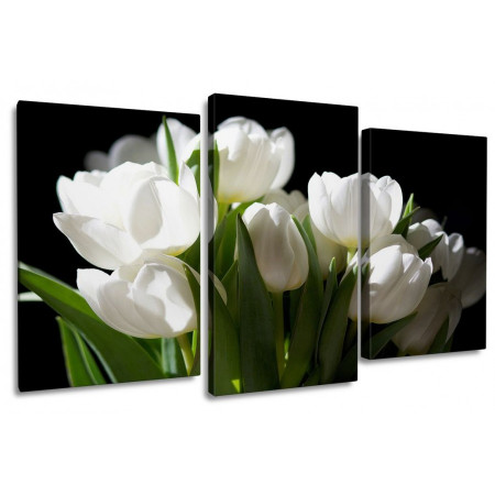 Модульная картина "Белые тюльпаны на черном" 100х60 S52