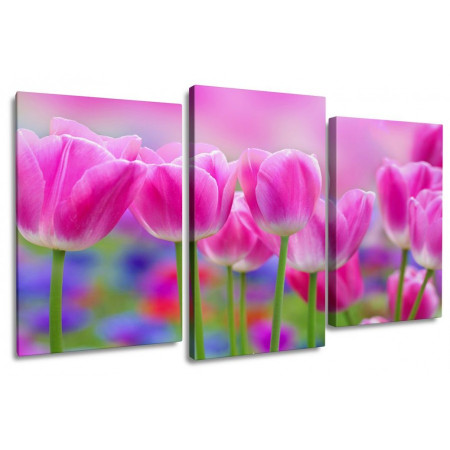 Модульная картина "Розовые тюльпаны" 100х60 S51