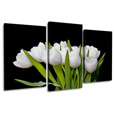 Модульная картина "Букет из белых тюльпанов на черном фоне" 100х60 S481